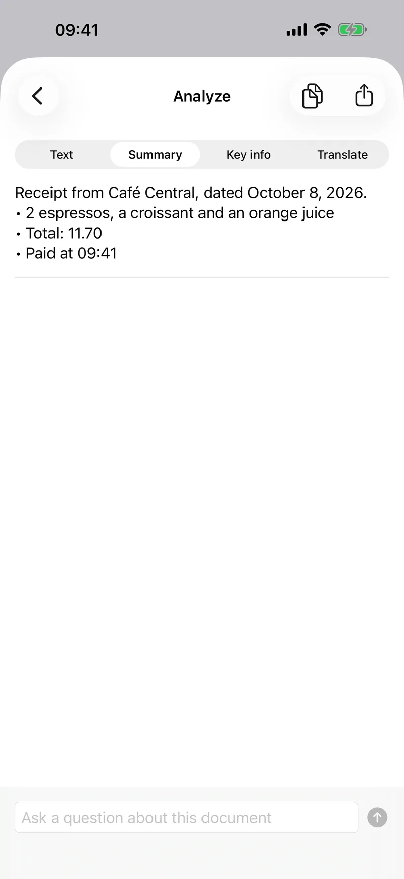 An AI summary of a scanned receipt
