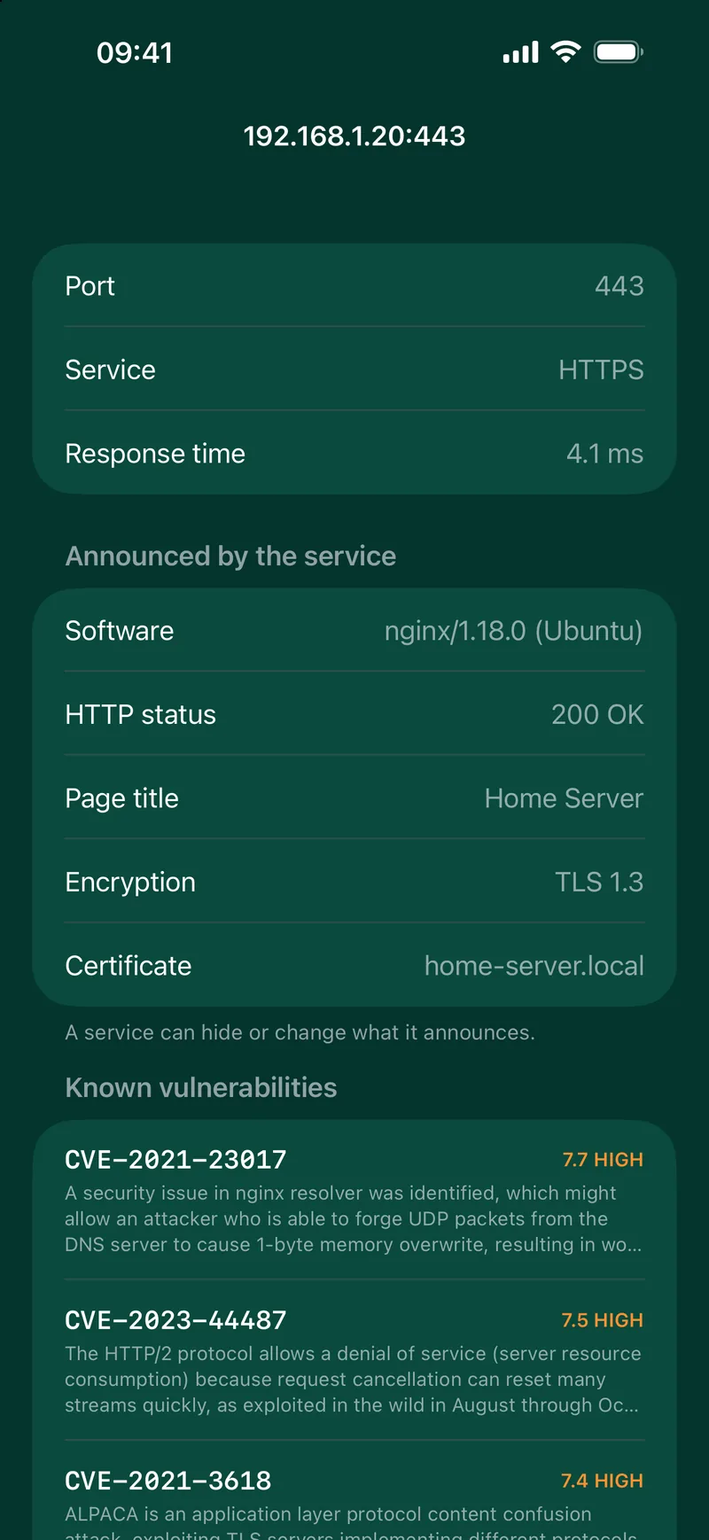 A port with its software and known vulnerabilities